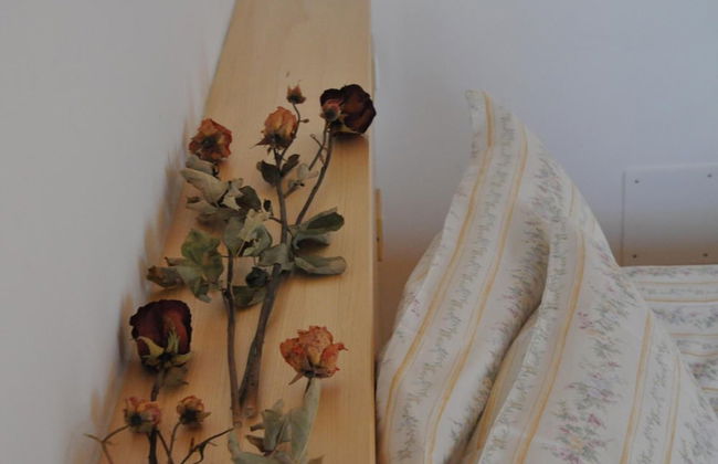 Agriturismo Bortolotti - Foto 11