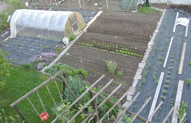 Agriturismo Bortolotti - Foto 74