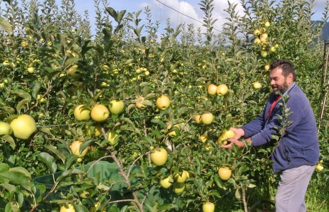 Agriturismo Bortolotti - Foto 67