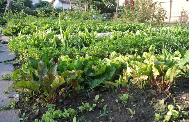 Agriturismo Bortolotti - Foto 73