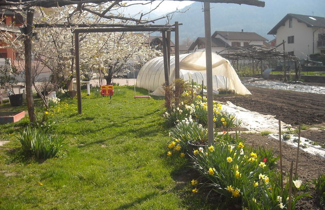 Agriturismo Bortolotti - Foto 75