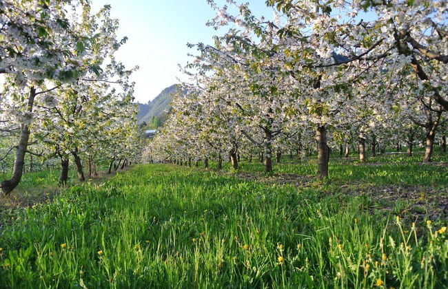 Agriturismo Bortolotti - Foto 72