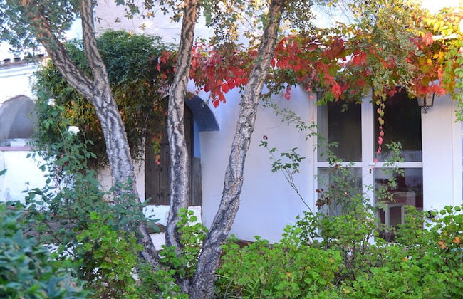 Las Navezuelas - Foto 56