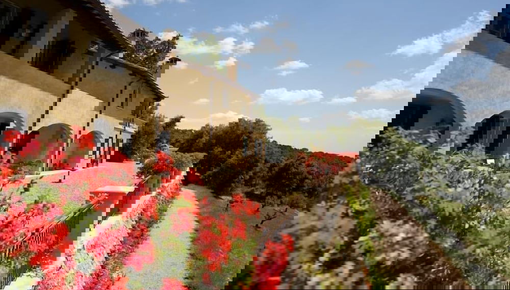 Imagem principal
