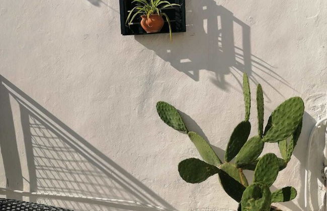 Casa dei Nonni - Photo 30