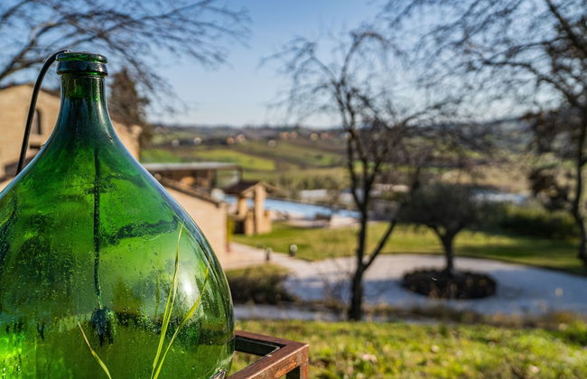 Terra di Gradara - Foto 70