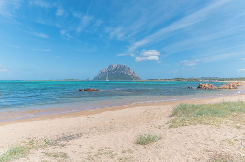 Photo 15 - Il Vecchio Faro A30 150mt From The Beach