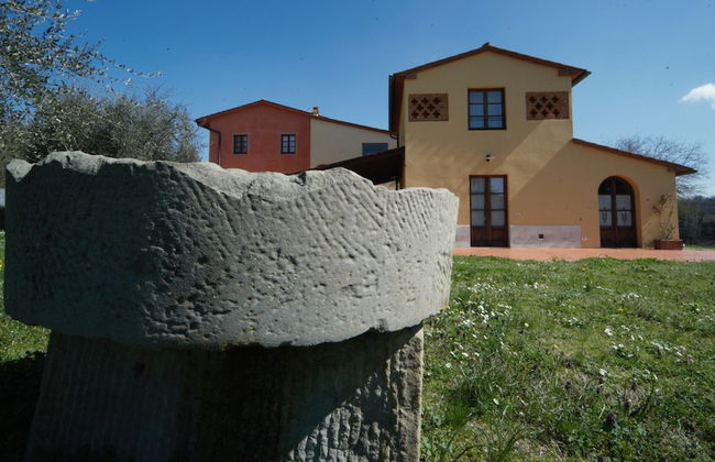 azienda agricola lo zolfino - Photo 56