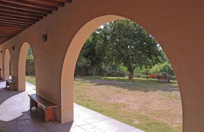 azienda agricola lo zolfino - Photo 59