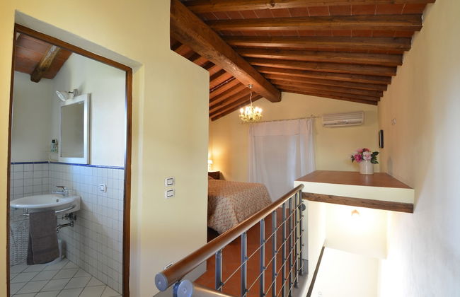 azienda agricola lo zolfino - Photo 15