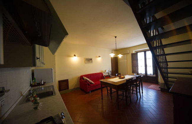 azienda agricola lo zolfino - Photo 25