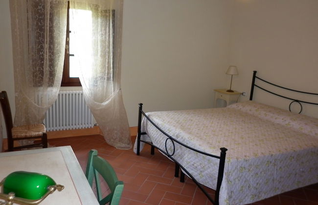 azienda agricola lo zolfino - Photo 5