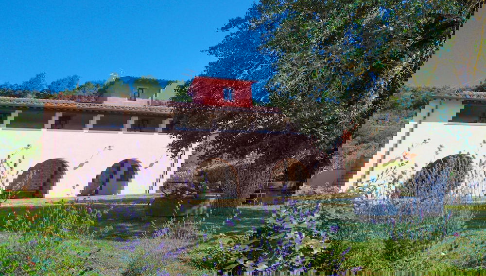 azienda agricola lo zolfino - Foto 1, Imagen principal