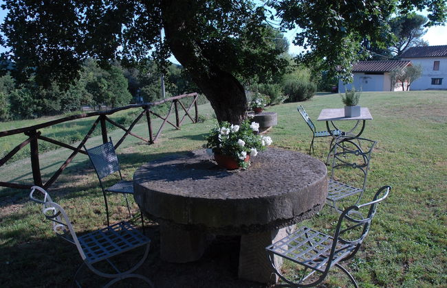 azienda agricola lo zolfino - Photo 61