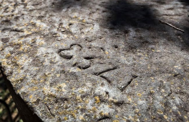 azienda agricola lo zolfino - Photo 60