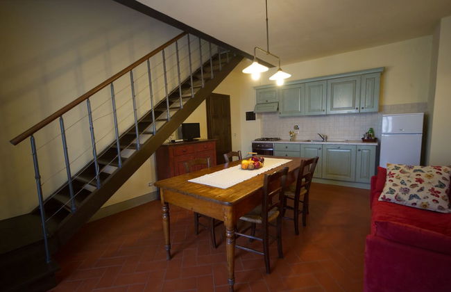 azienda agricola lo zolfino - Photo 33