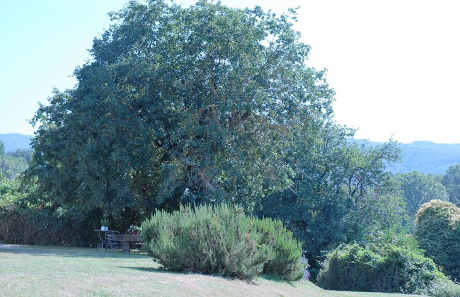 azienda agricola lo zolfino - Photo 62