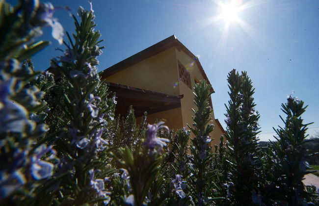 azienda agricola lo zolfino - Photo 63