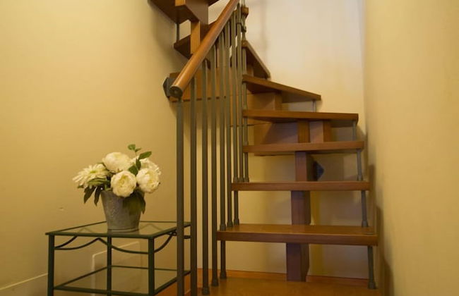 azienda agricola lo zolfino - Photo 37