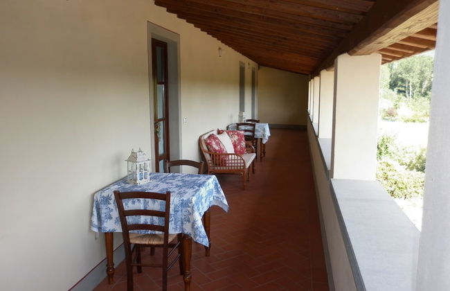 azienda agricola lo zolfino - Photo 45