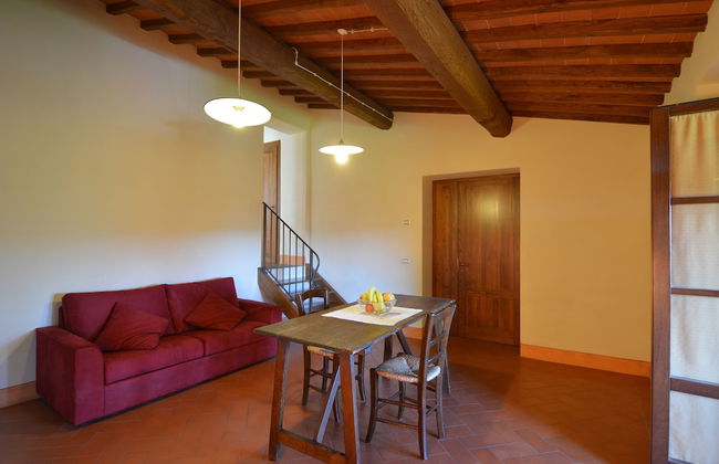 azienda agricola lo zolfino - Photo 44