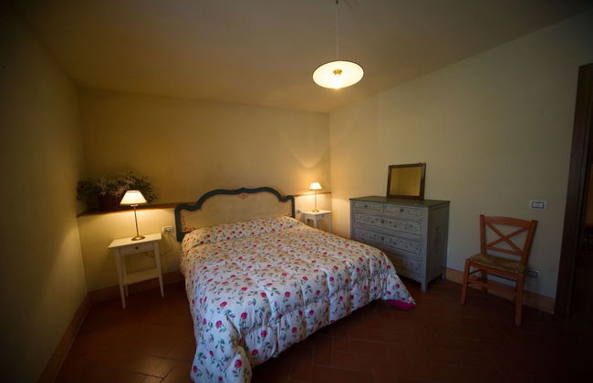 azienda agricola lo zolfino - Photo 21