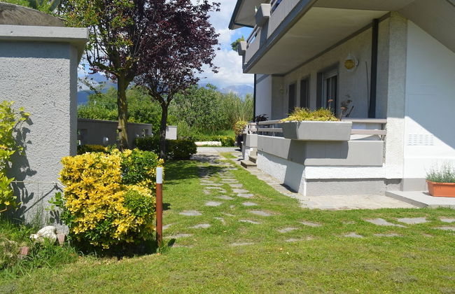 Lilla - Foto 25