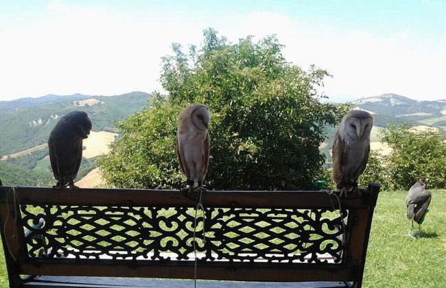 Girfalco - Country House - Bed&Breakfast - Foto 17