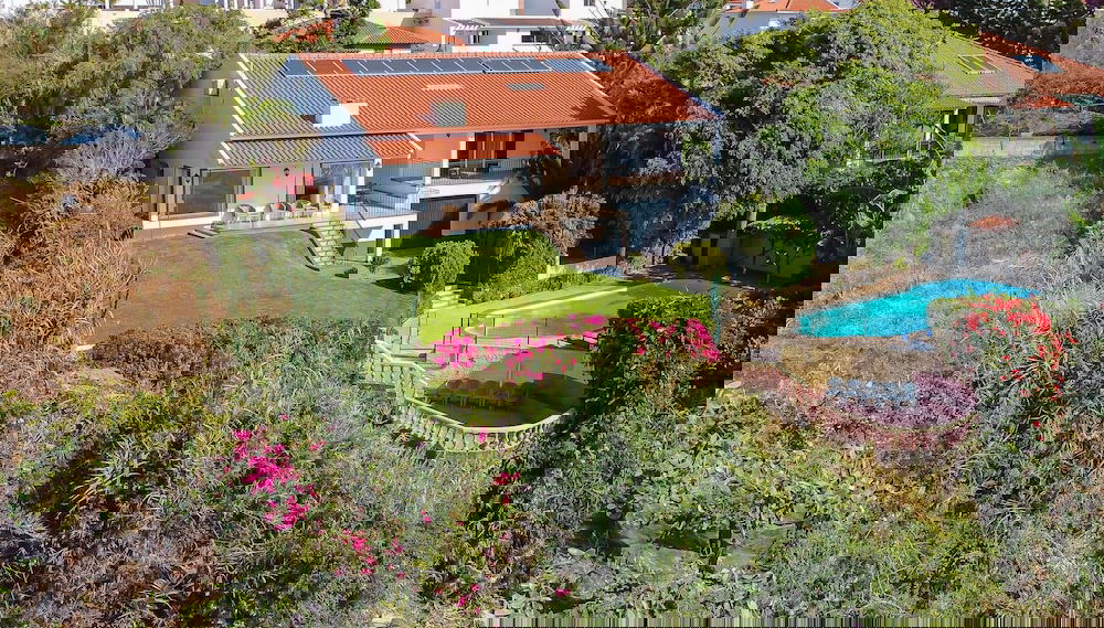Imagem principal