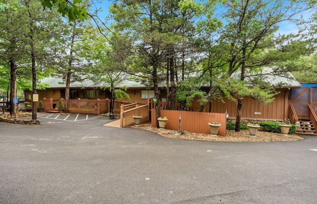 Cabins at Green Mountain - Foto 63