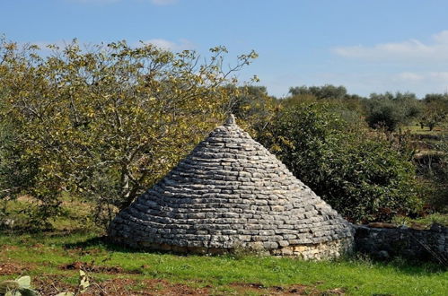 Foto 44 - Masseria Montefieno