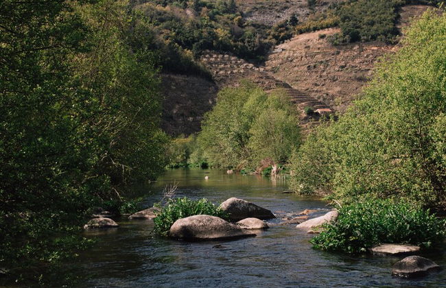Quinta de Recião - Foto 80