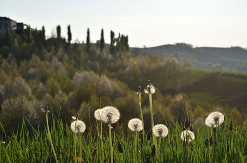 Foto 52 - CasaMatilda Agriturismo Langhe