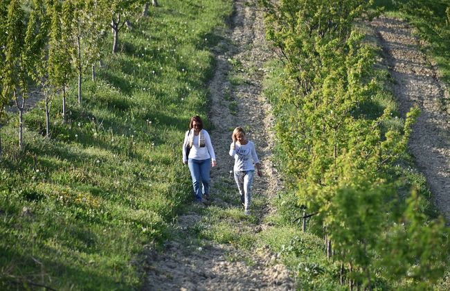 CasaMatilda Agriturismo Langhe - Foto 38