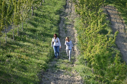 Photo 37 - CasaMatilda Agriturismo Langhe