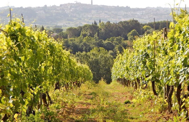 Agriturismo Santo Pietro - Foto 33