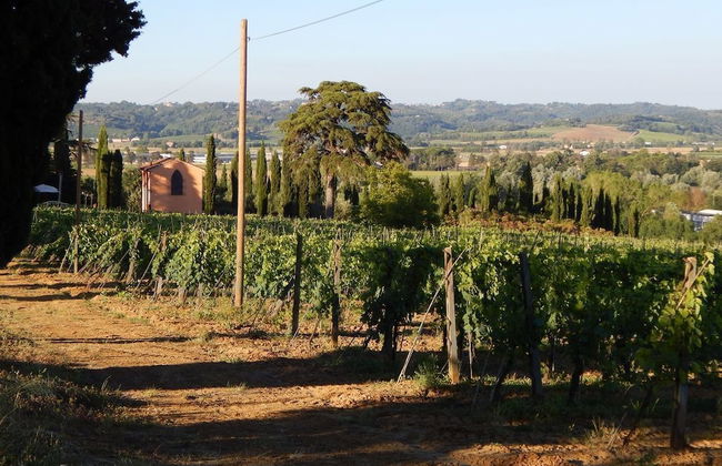 Agriturismo Santo Pietro - Foto 31