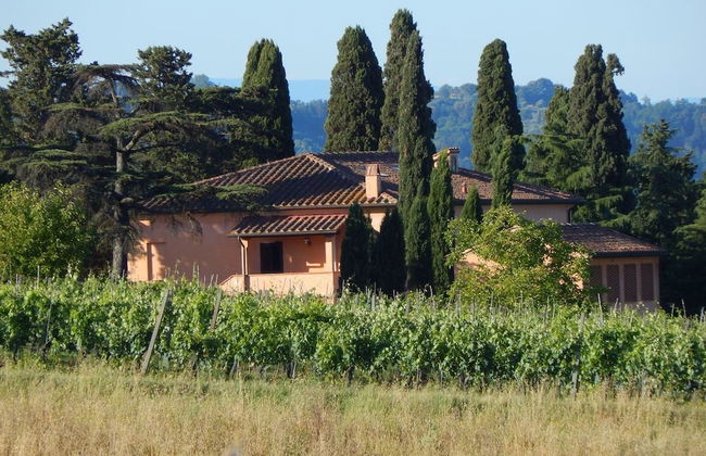 Agriturismo Santo Pietro - Foto 38