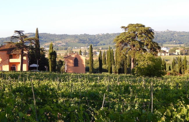 Agriturismo Santo Pietro - Foto 36