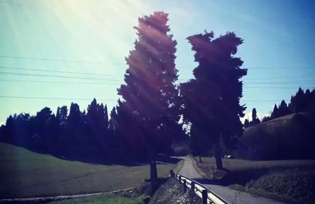 Agriturismo Campo al Sole - Foto 9