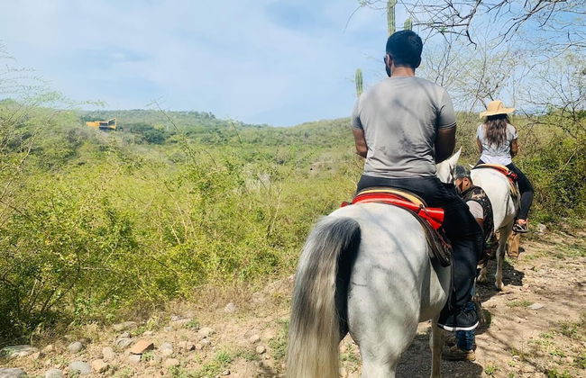 Casa Ave del Risco (Villa con río y cascada al interior) - Photo 37