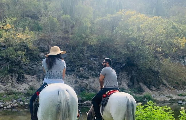 Casa Ave del Risco (Villa con río y cascada al interior) - Photo 39