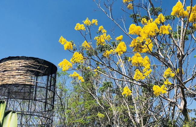 Casa Ave del Risco (Villa con río y cascada al interior) - Photo 33