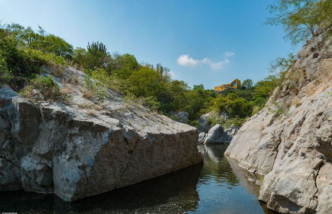 Casa Ave del Risco (Villa con río y cascada al interior) - Photo 44