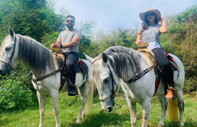 Casa Ave del Risco (Villa con río y cascada al interior) - Photo 36