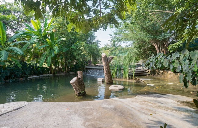 Casa Ave del Risco (Villa con río y cascada al interior) - Photo 47