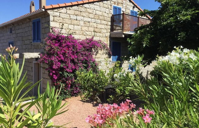 Le Moulin de Figari - Photo 34