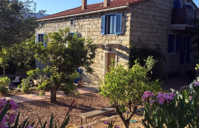 Le Moulin de Figari - Photo 1