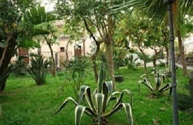 La Grevillea - Foto 7