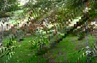 Photo 7 - La Grevillea